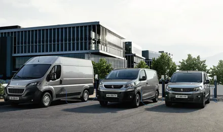 P TB Service 1200X674